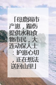 母鹿闹市产崽，踢伤提供水和食物市民，大连动保人士：护崽心切，正在想法送回山里