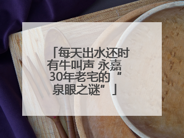 每天出水还时有牛叫声 永嘉30年老宅的“泉眼之谜”