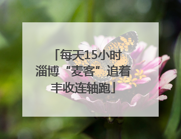 每天15小时 淄博“麦客”追着丰收连轴跑