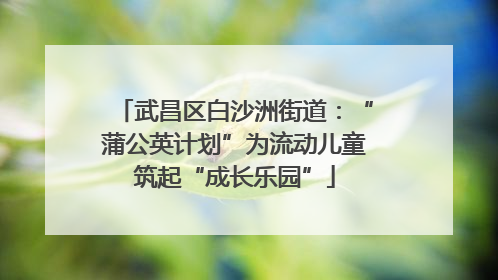 武昌区白沙洲街道：“蒲公英计划”为流动儿童筑起“成长乐园”