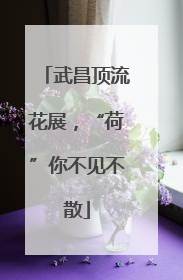 武昌顶流花展，“荷”你不见不散