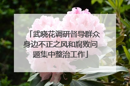 武晓花调研督导群众身边不正之风和腐败问题集中整治工作