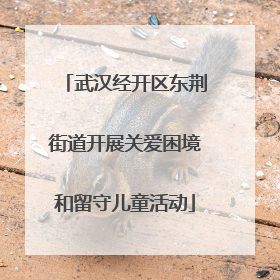 武汉经开区东荆街道开展关爱困境和留守儿童活动