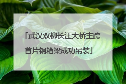 武汉双柳长江大桥主跨首片钢箱梁成功吊装