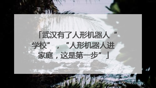 武汉有了人形机器人“学校”，“人形机器人进家庭，这是第一步”