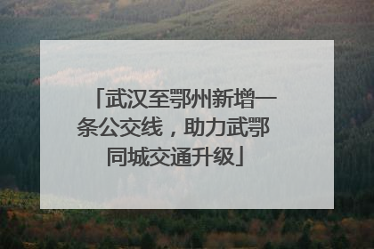 武汉至鄂州新增一条公交线，助力武鄂同城交通升级
