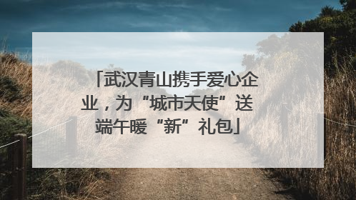 武汉青山携手爱心企业，为“城市天使”送端午暖“新”礼包