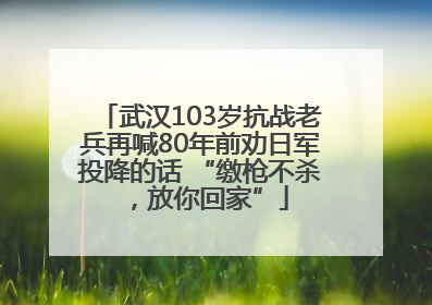 武汉103岁抗战老兵再喊80年前劝日军投降的话 “缴枪不杀，放你回家”