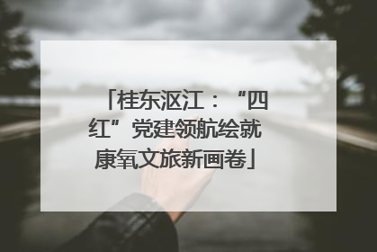 桂东沤江：“四红”党建领航绘就康氧文旅新画卷