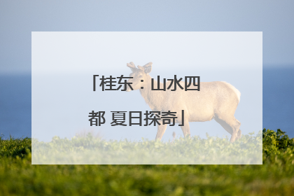桂东：山水四都 夏日探奇