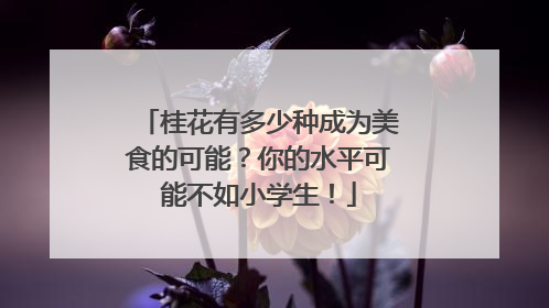 桂花有多少种成为美食的可能？你的水平可能不如小学生！