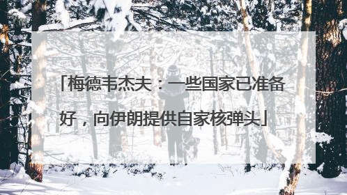 梅德韦杰夫：一些国家已准备好，向伊朗提供自家核弹头
