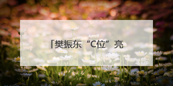 樊振东“C位”亮相德国萨尔布吕肯海报，俱乐部经理透露其加盟内幕
