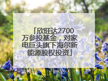 欣旺达2700万参投基金，对家电巨头旗下海尔新能源股权投资