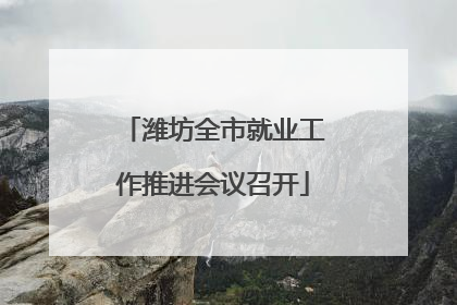 潍坊全市就业工作推进会议召开