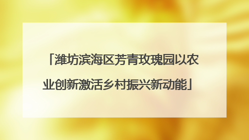 潍坊滨海区芳青玫瑰园以农业创新激活乡村振兴新动能