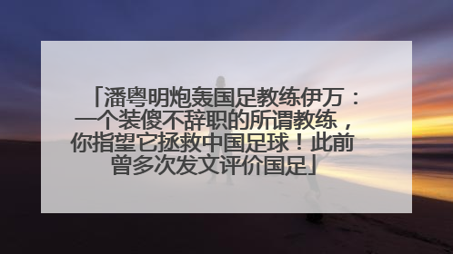 潘粤明炮轰国足教练伊万：一个装傻不辞职的所谓教练，你指望它拯救中国足球！此前曾多次发文评价国足