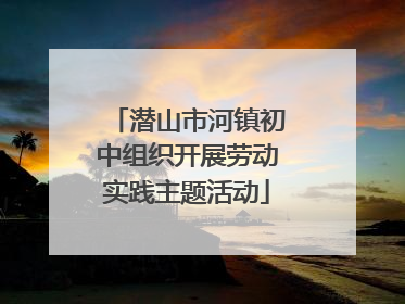 潜山市河镇初中组织开展劳动实践主题活动