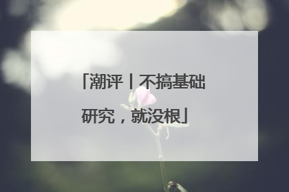潮评丨不搞基础研究，就没根