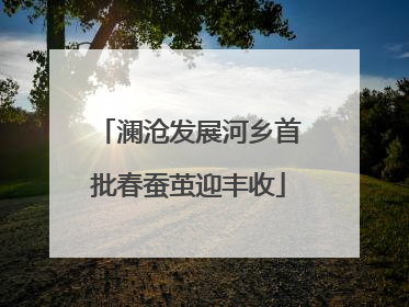 澜沧发展河乡首批春蚕茧迎丰收