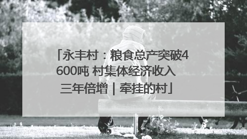 永丰村：粮食总产突破4600吨 村集体经济收入三年倍增｜牵挂的村
