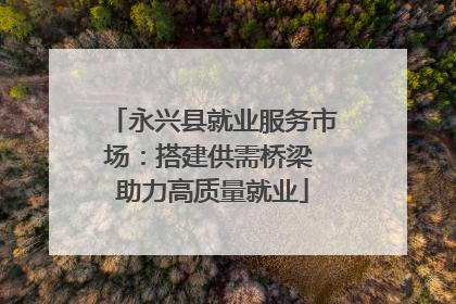 永兴县就业服务市场：搭建供需桥梁 助力高质量就业