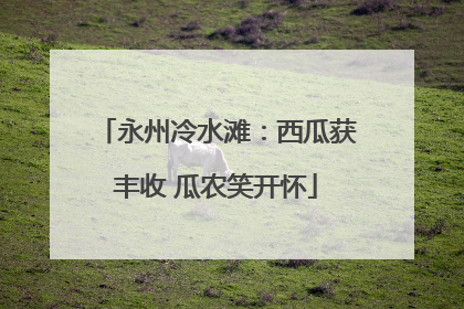 永州冷水滩：西瓜获丰收 瓜农笑开怀
