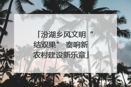 汾湖乡风文明“结双果” 奏响新农村建设新乐章