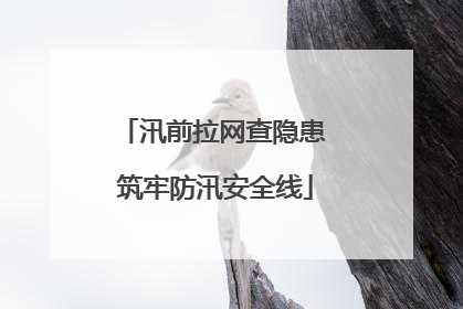 汛前拉网查隐患 筑牢防汛安全线