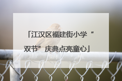 江汉区福建街小学“双节”庆典点亮童心
