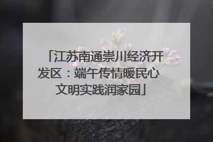 江苏南通崇川经济开发区：端午传情暖民心 文明实践润家园