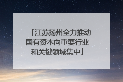 江苏扬州全力推动国有资本向重要行业和关键领域集中