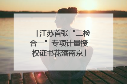江苏首张“二检合一”专项计量授权证书花落南京