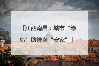 江西南昌：城市“绿岛”助候鸟“安家”