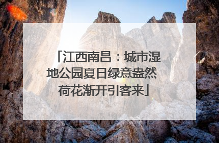 江西南昌：城市湿地公园夏日绿意盎然 荷花渐开引客来
