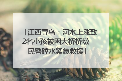 江西寻乌：河水上涨致2名小孩被困大桥桥墩 民警蹚水紧急救援