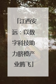 江西安远：以数字科技助力脐橙产业腾飞