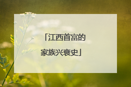 江西首富的家族兴衰史