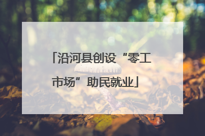 沿河县创设“零工市场”助民就业