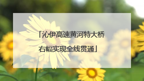 沁伊高速黄河特大桥右幅实现全线贯通
