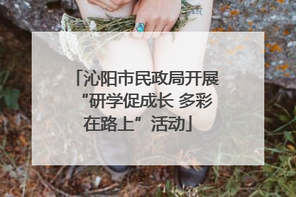 沁阳市民政局开展“研学促成长 多彩在路上”活动