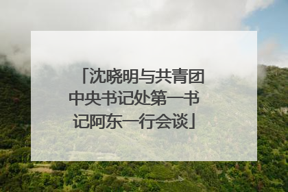 沈晓明与共青团中央书记处第一书记阿东一行会谈