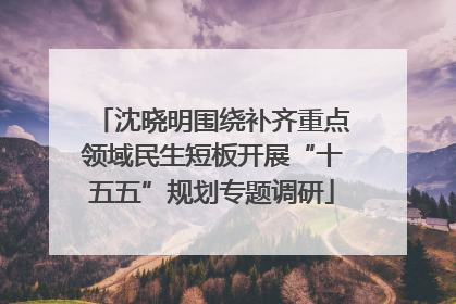 沈晓明围绕补齐重点领域民生短板开展“十五五”规划专题调研