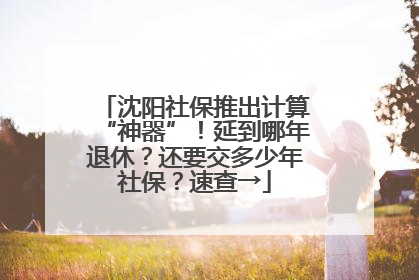 沈阳社保推出计算“神器”！延到哪年退休？还要交多少年社保？速查→
