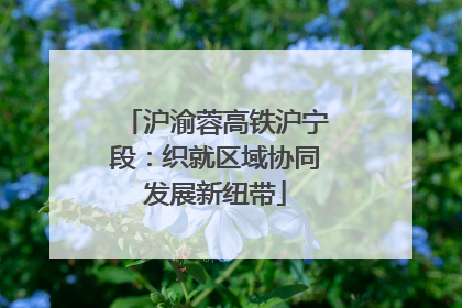沪渝蓉高铁沪宁段：织就区域协同发展新纽带