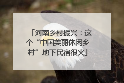 河南乡村振兴：这个“中国美丽休闲乡村”地下民宿很火