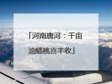 河南唐河：千亩油蟠桃喜丰收