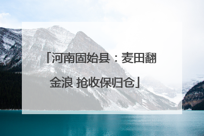 河南固始县：麦田翻金浪 抢收保归仓