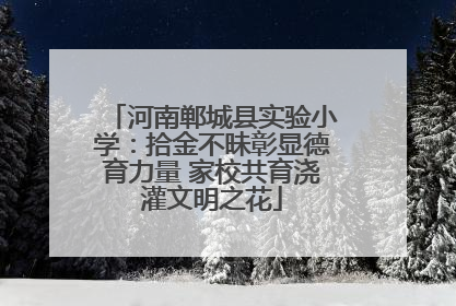 河南郸城县实验小学：拾金不昧彰显德育力量 家校共育浇灌文明之花