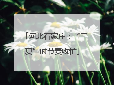 河北石家庄：“三夏”时节麦收忙